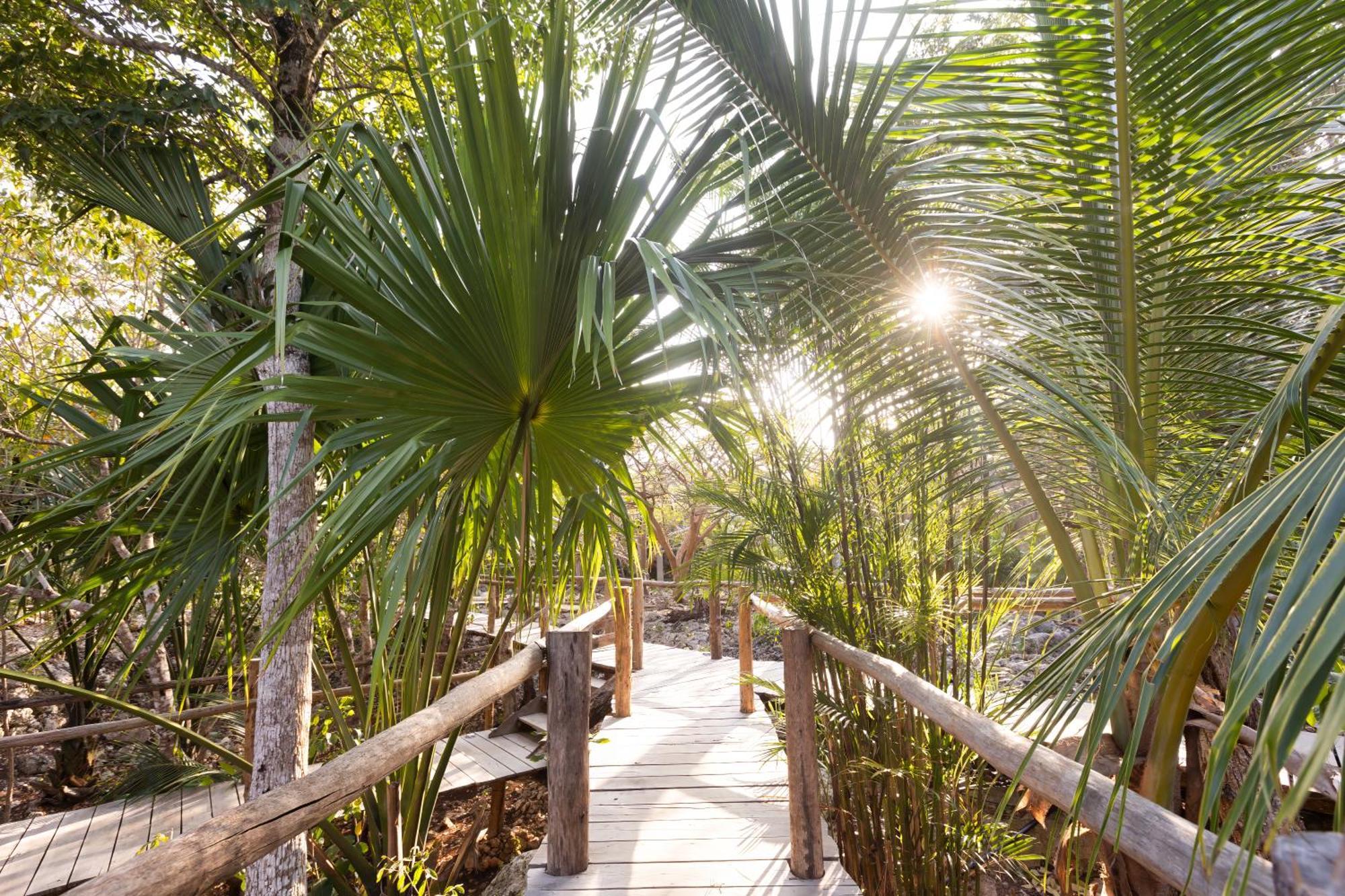 Pepem Holistic Experience - Adults Only Villa Tulum Esterno foto