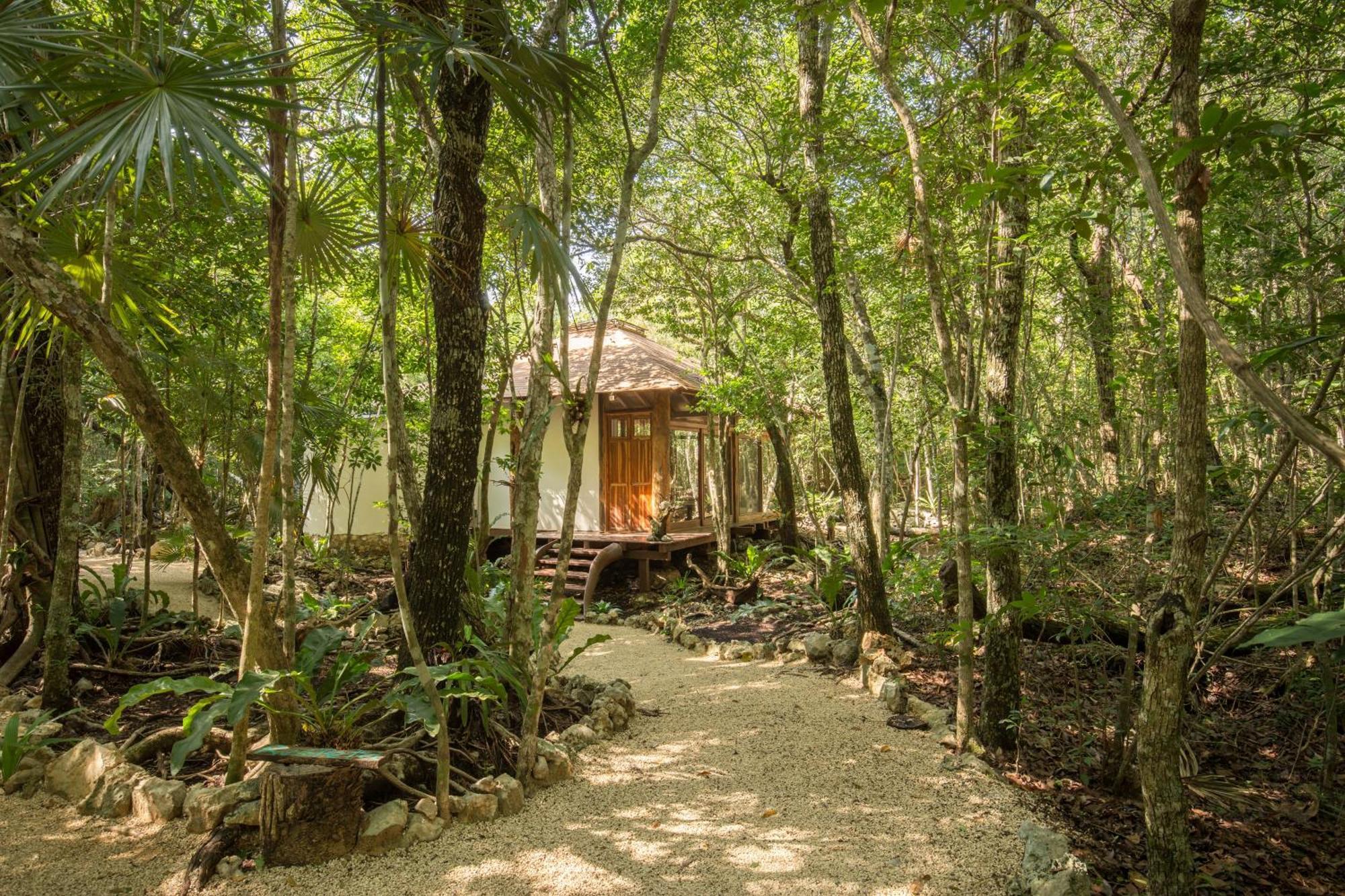 Villa Pepem Holistic Experience - Peaceful Retreat Near Tulum (Adults Only) Esterno foto