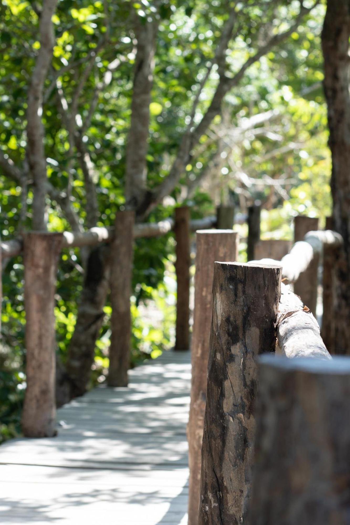 Villa Pepem Holistic Experience - Peaceful Retreat Near Tulum (Adults Only) Esterno foto